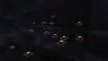Eyeblossoms glowing, resembling the eyes of creakings.