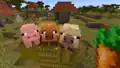 The two new pig variants.