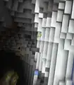 Alex venturing into a lush cave from a mountain.
