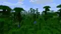Jeb's second jungle teaser screenshot.