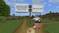 Efe chooses a path while riding a pig.