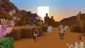 Chickens in the sunset.