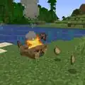 Food being cooked over a campfire.