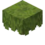 Azalea.png: Infobox image for Azalea the block in Minecraft