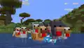 A bunch of chickens in water.