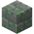 Mossy stone bricks