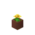 Potted Dandelion