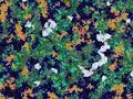 A biome map tweeted by Jeb, showcasing work-in-progress biome generation for Java Edition 1.7.2.