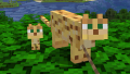 An image showing how you can use a lead on an ocelot. Surely the cutest walking companion ever?
