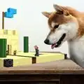 A dog hovering over a buildplate.