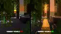 A mangrove swamp during sunset. These images show how Vibrant Visuals enhances the scene.
