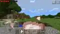 Old eating particles in Bedrock Edition, which appears as miniatures of the food itself.