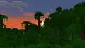 A jungle sunset.
