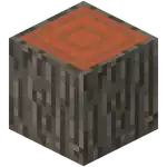 Acacia Log (UD) JE5.png: Infobox image for Acacia Log the block in Minecraft