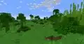 A sparse jungle.