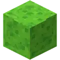 Slime block
