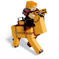 Alex riding a camel.