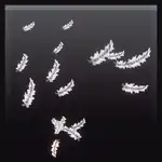 Burst Of Feathers.png: Infobox image for Burst Of Feathers the dungeons cosmetic in Minecraft