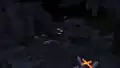 A creaking with the Invisibility effect.