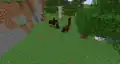 A herd of various horses and a baby mule.