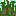 BiomeSprite bamboo-jungle-hills.png: Sprite image for bamboo-jungle-hills in Minecraft