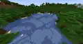 A dark forest bordering onto a lake.