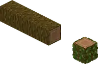A fallen jungle tree log.