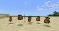 A bundle of bundles on the beach.