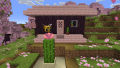 Cactus flower in front of a house.