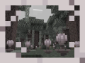 A pale garden.