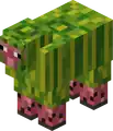 Sheepomelon