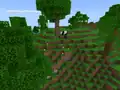 A panda in a jungle edge biome.