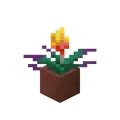 Potted Torchflower