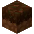 Podzol