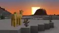 A camel watching the sunset.