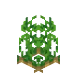 Potatoes Age 7 BE.png: Infobox image for Potato the item in Minecraft