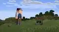 Narrator and MARILLA in a plains biome.