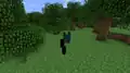 A glitched player model.