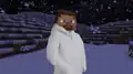 Steve wearing a stylish coat in a cold scene.