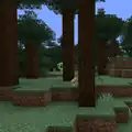 A creeper peeking out from a tree near some mushrooms.