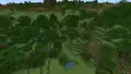 A wooded hills biome generated inside a plains biome