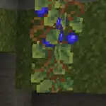 Blue Berries.png: Infobox image for Blue Berries the object in Minecraft