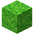 Moss block