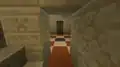 The archaeology room.