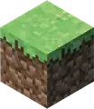 A grass block.