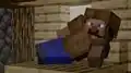 Steve posing in leather armor.