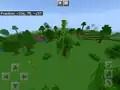 Bamboo in a sparse jungle in Bedrock Edition, in older versions.