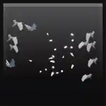 Release The Doves.png: Infobox image for Release The Doves the dungeons cosmetic in Minecraft
