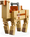 Saddled Camel