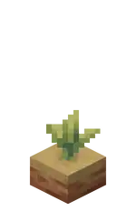 Pitcher Crop Age 1.png: Infobox image for Pitcher Pod the block in Minecraft
